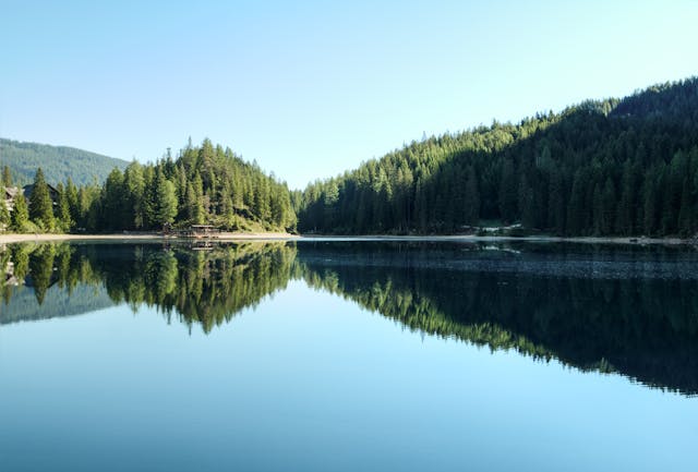 What Do Shinrin-Yoku (Forest Bathing) and Acupuncture Have in Common