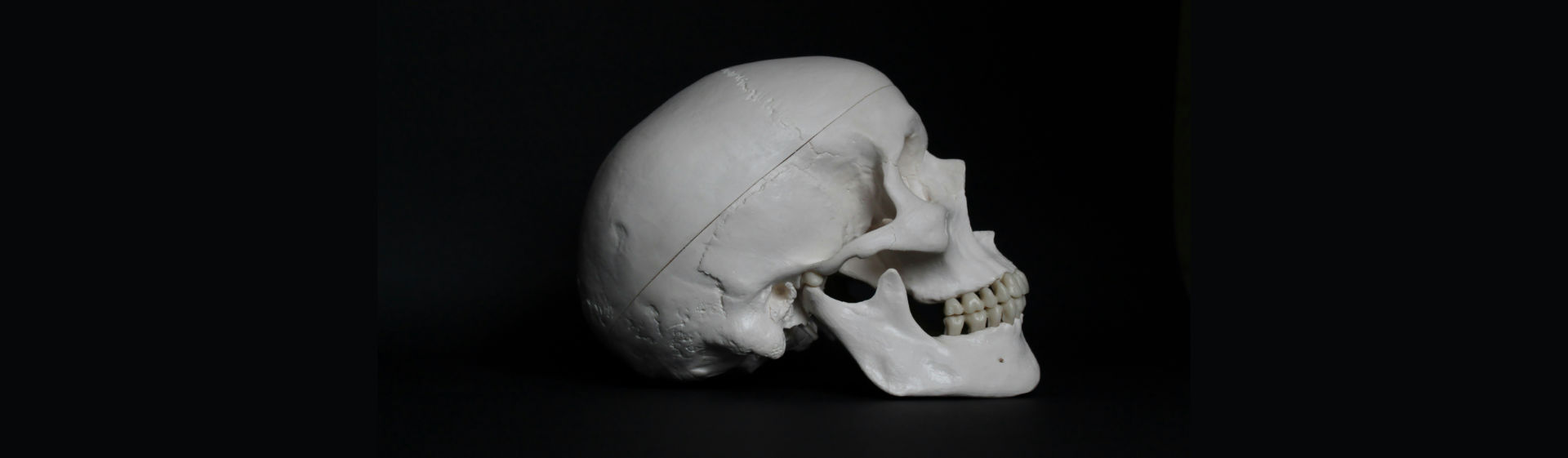 white skull in side view showing the TMJ (Temporomandibular joint- jaw joint) against black background. TMJ joint pain area shown | Photo by Anne NygÃ¥rd on Unsplash